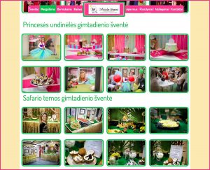 Vaiku gimtadieniai. Aviuko namai. Websol