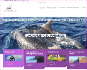 Kauno Hospiso namai. Websol