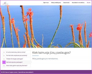 Kauno Hospiso namai. Websol